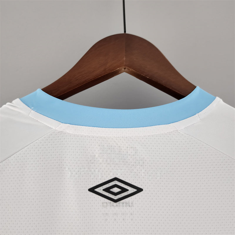 Torcedor Grêmio 2022