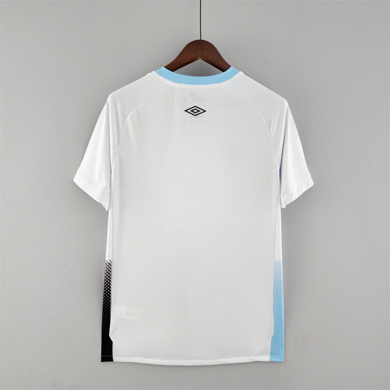 Torcedor Grêmio 2022