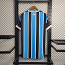 Torcedor Grêmio 2023