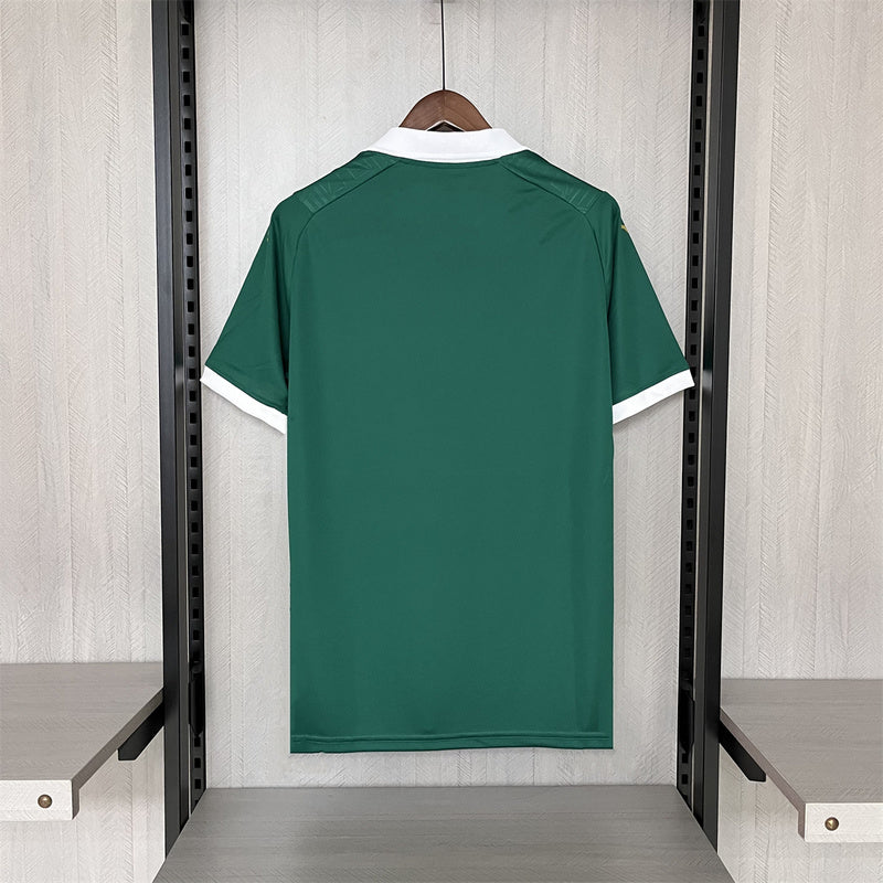 24-25 Palmeiras torcedor mandante
