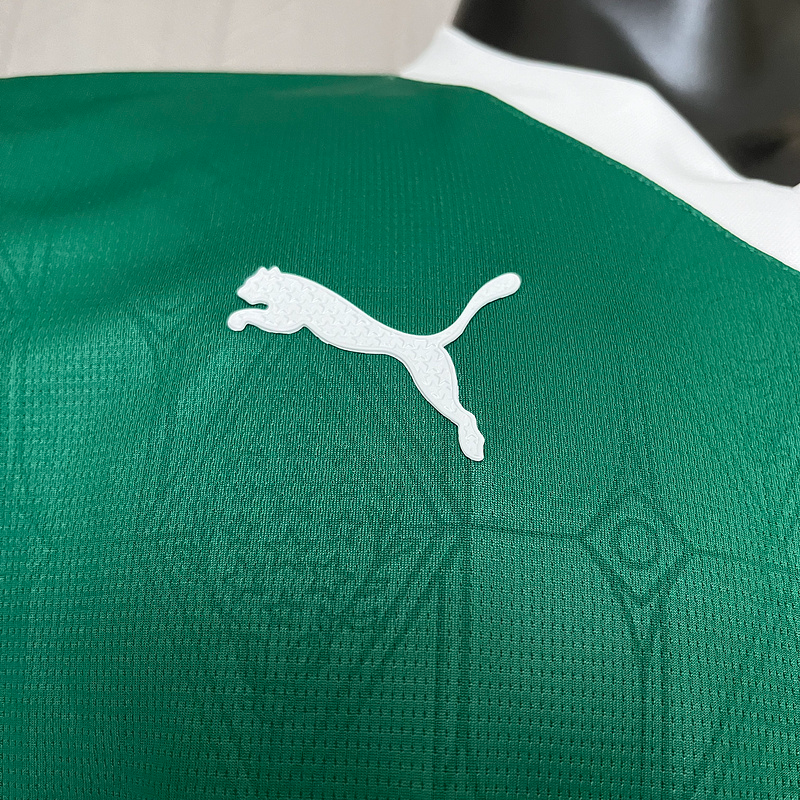 25-26 Camisa Jogador Palmeiras mandante