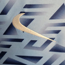 Torcedor inglaterra 2024