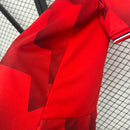 Torcedor Lille 25-26