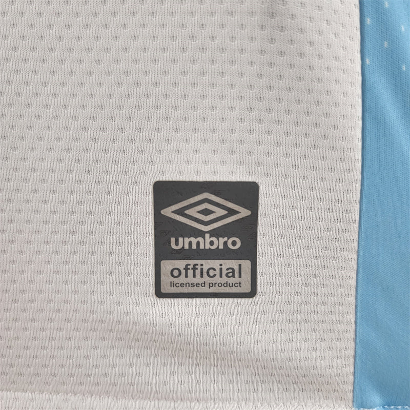 Torcedor Grêmio 2022