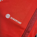 Torcedor Internacional 2023