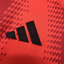 Torcedor Bayern munich 2024