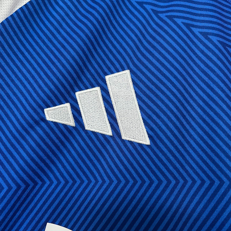 Torcedor Cruzeiro 2025
