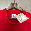 Retro Inglaterra 2010