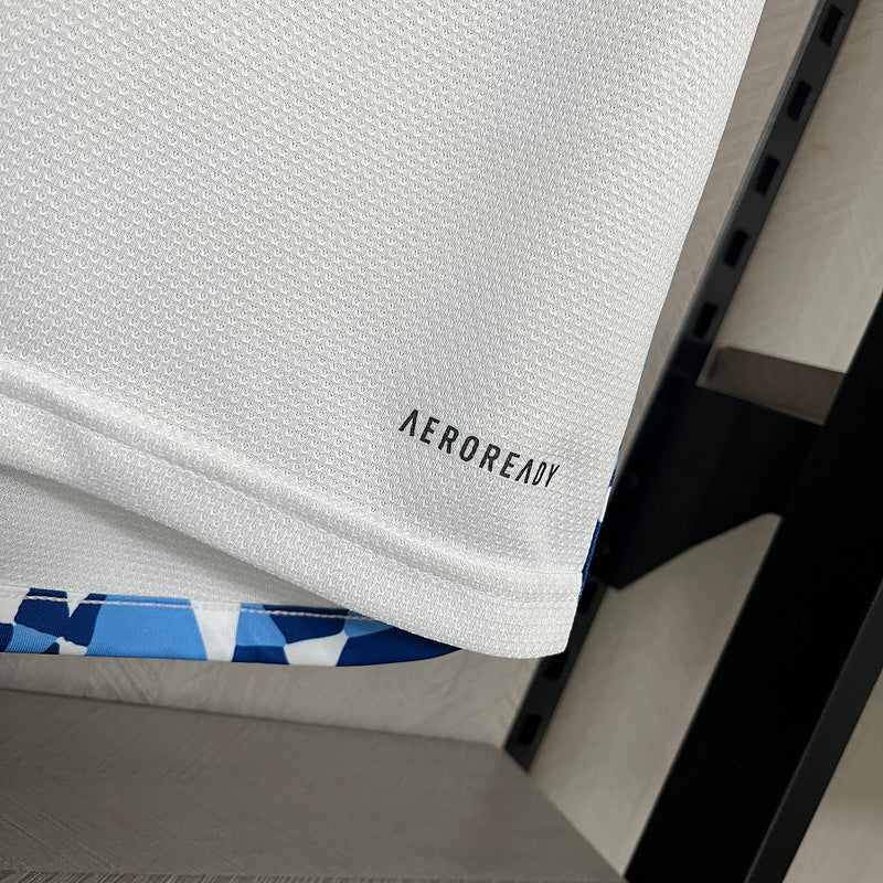 Torcedor Cruzeiro 2024