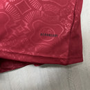 Torcedor Bayern munich 2025