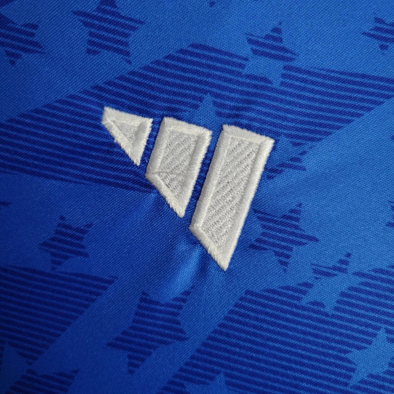 Torcedor Cruzeiro 2024