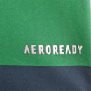 Retro Palmeiras 2010