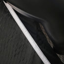 Jogador Benfica 2024