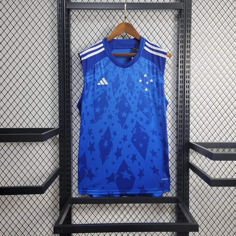 Torcedor Cruzeiro 2024